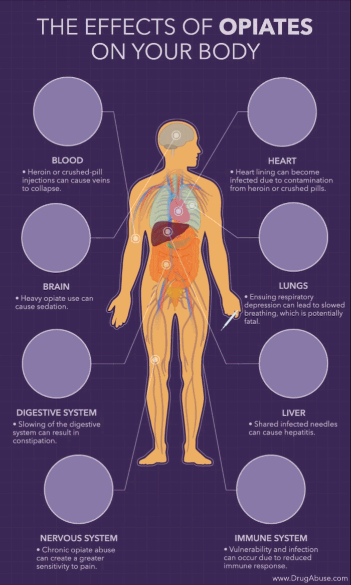 Effects of Opiates on your Body